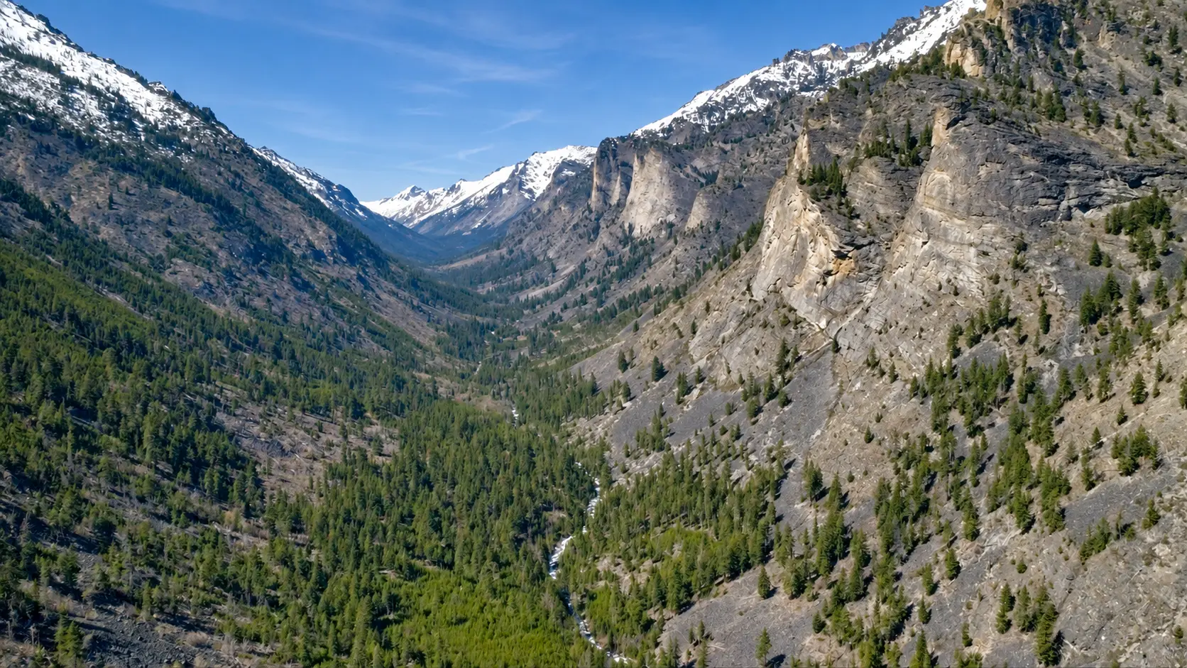 A mountain valley in the Bitterroot range