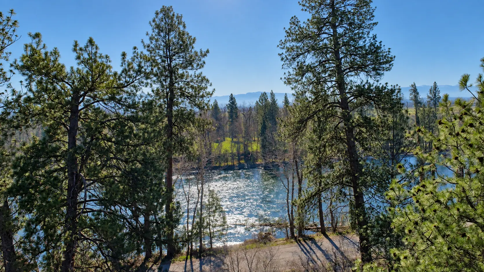The Bitterroot River glinting through ponderosa pines at Peaceful River